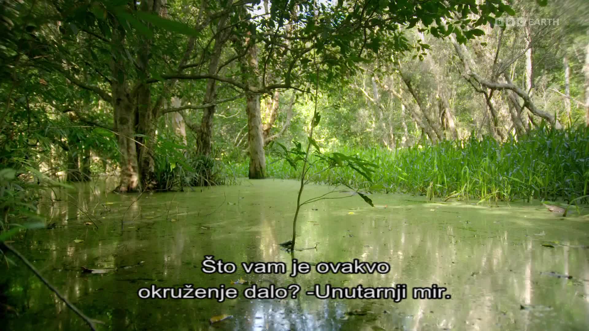 BBCEarth