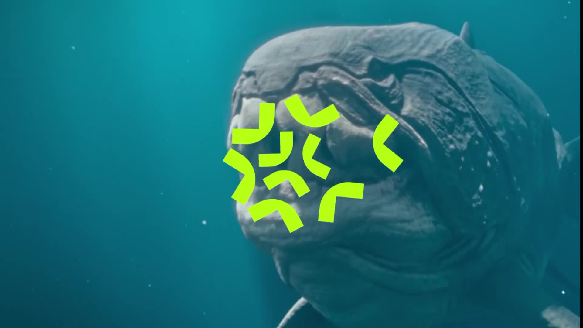 ViasatNature