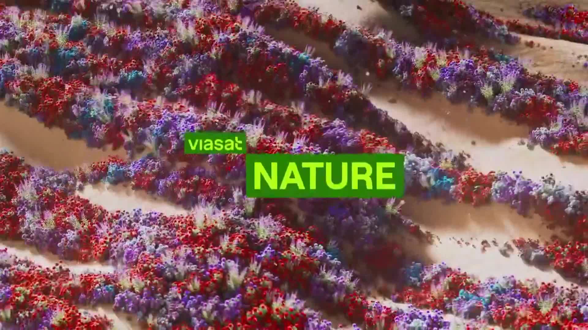 ViasatNature