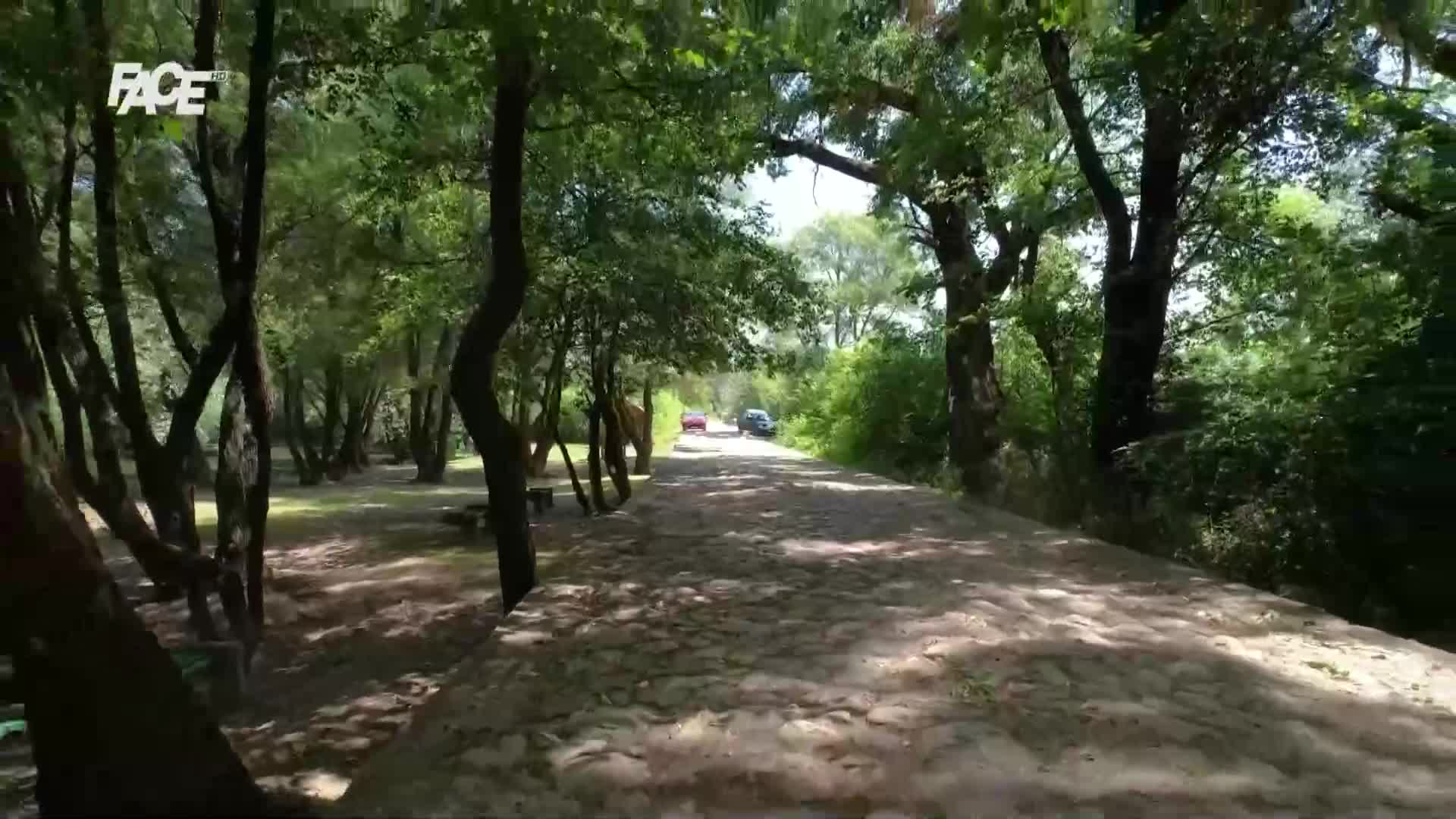 FaceTV