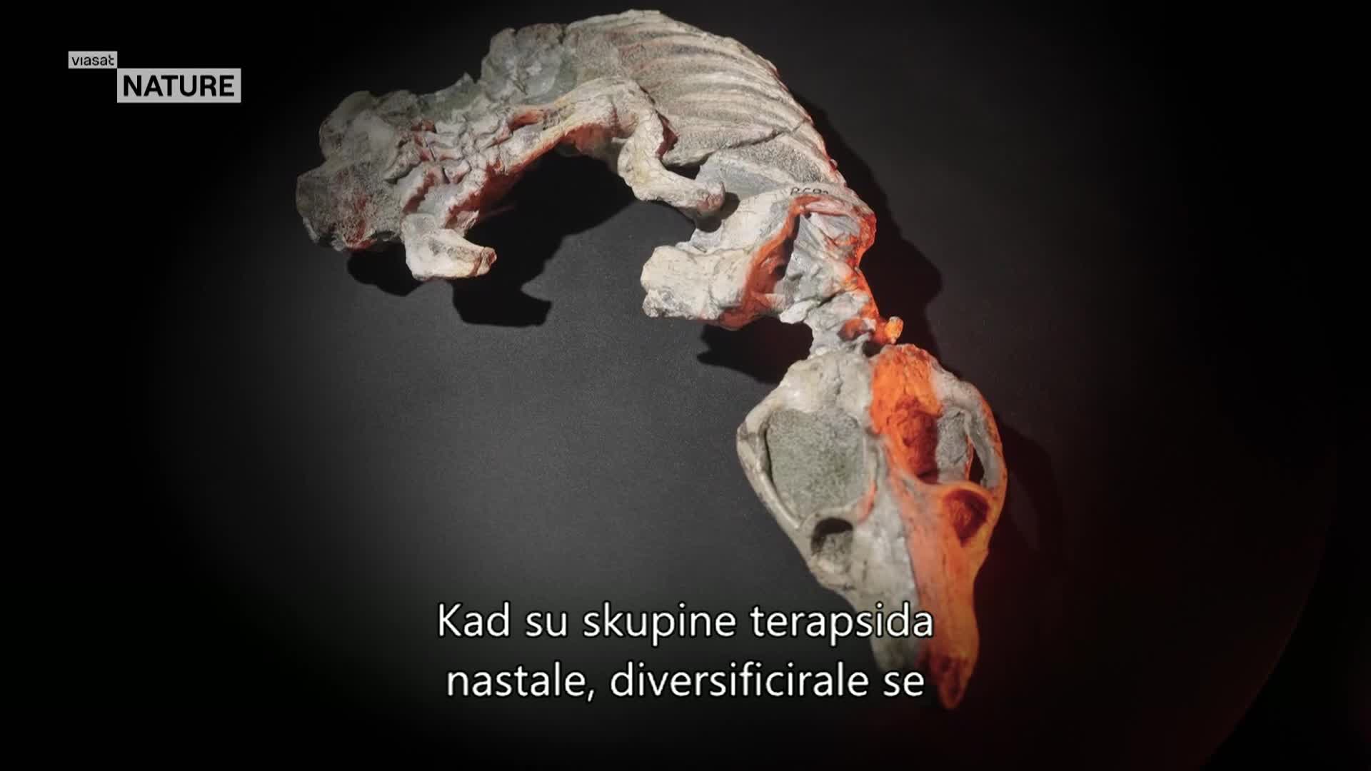ViasatNature