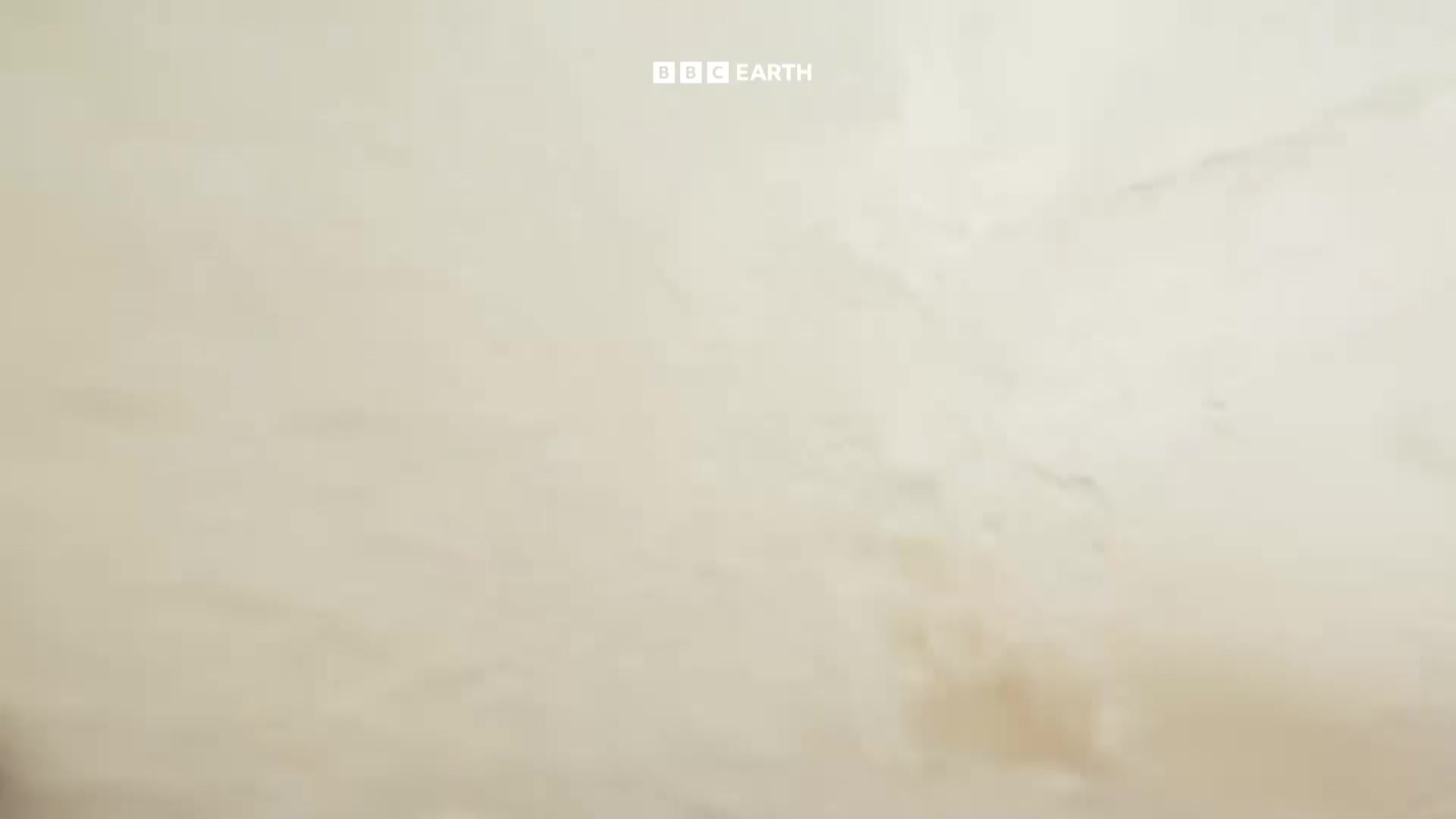 BBCEarth
