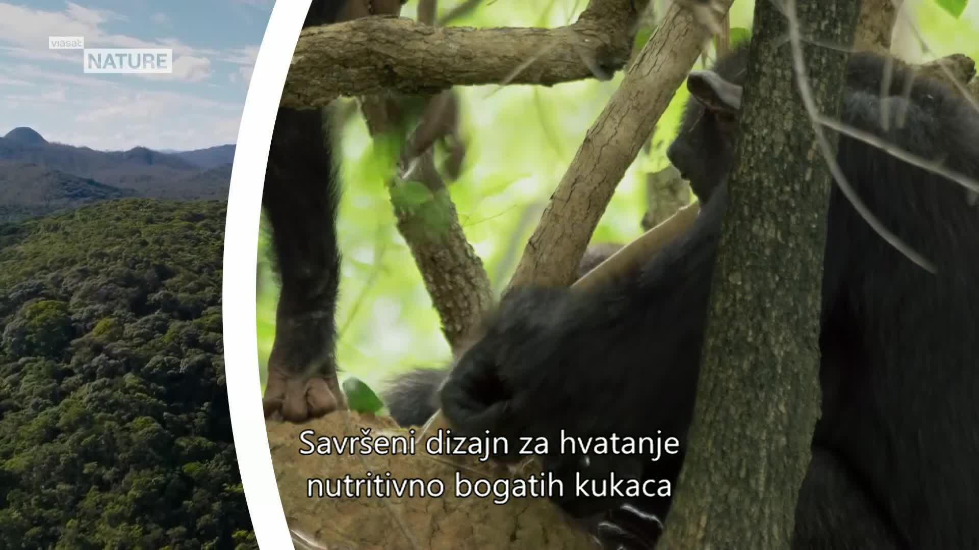 ViasatNature