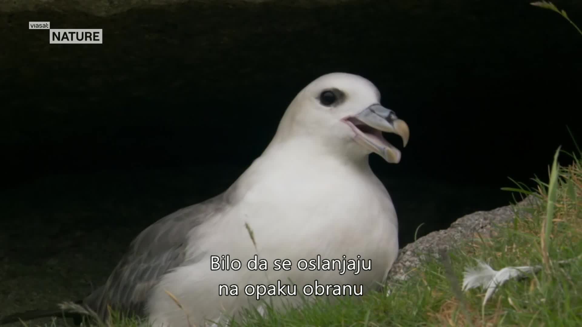 ViasatNature