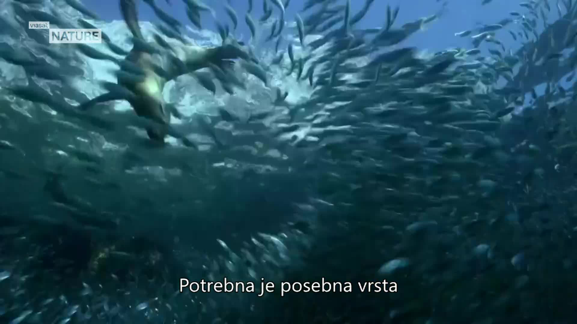 ViasatNature