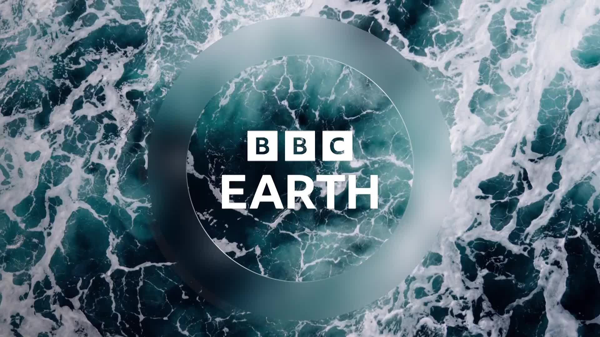 BBCEarth