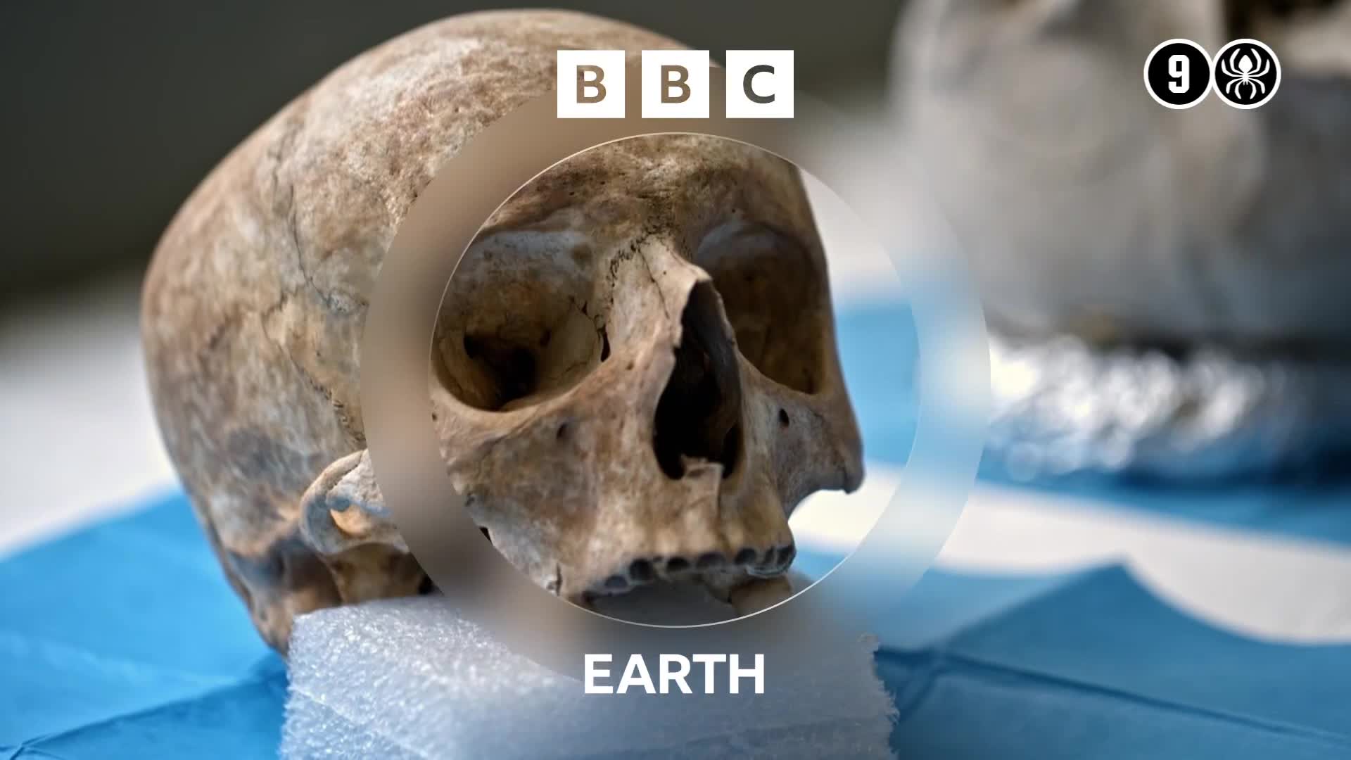 BBCEarth