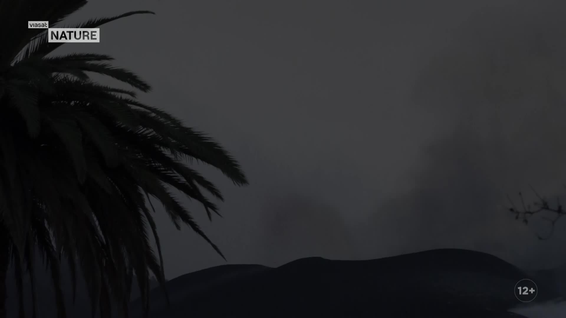 ViasatNature