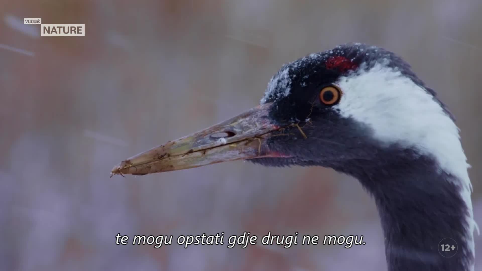 ViasatNature