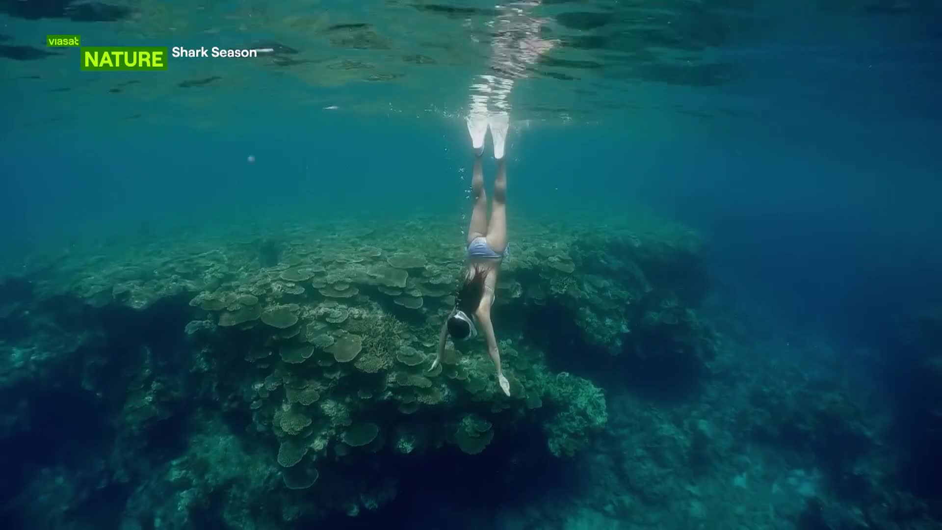 ViasatNature