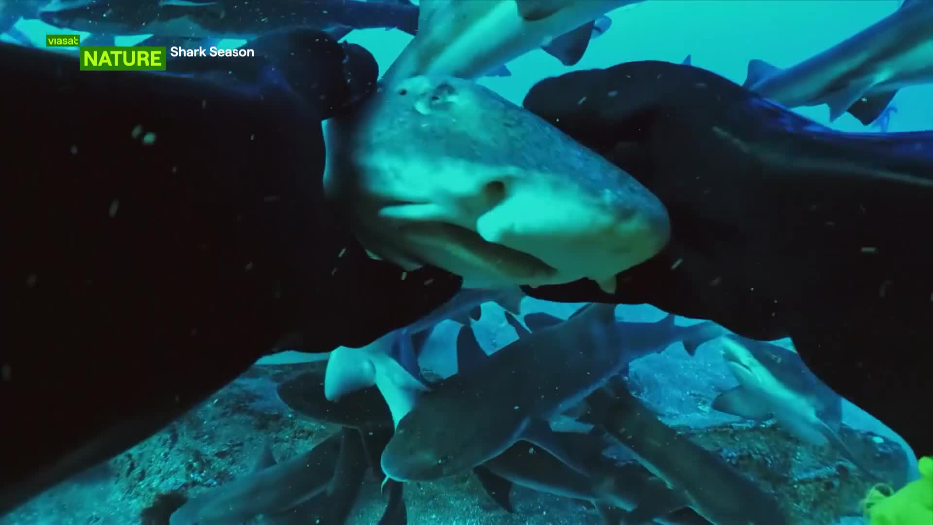 ViasatNature