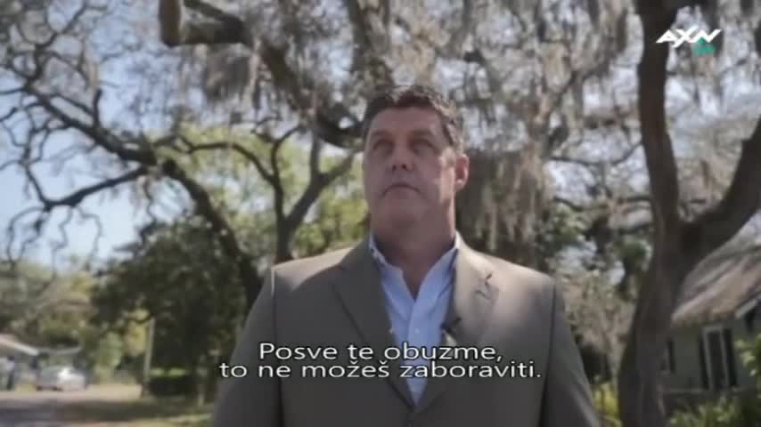 AXNSpin