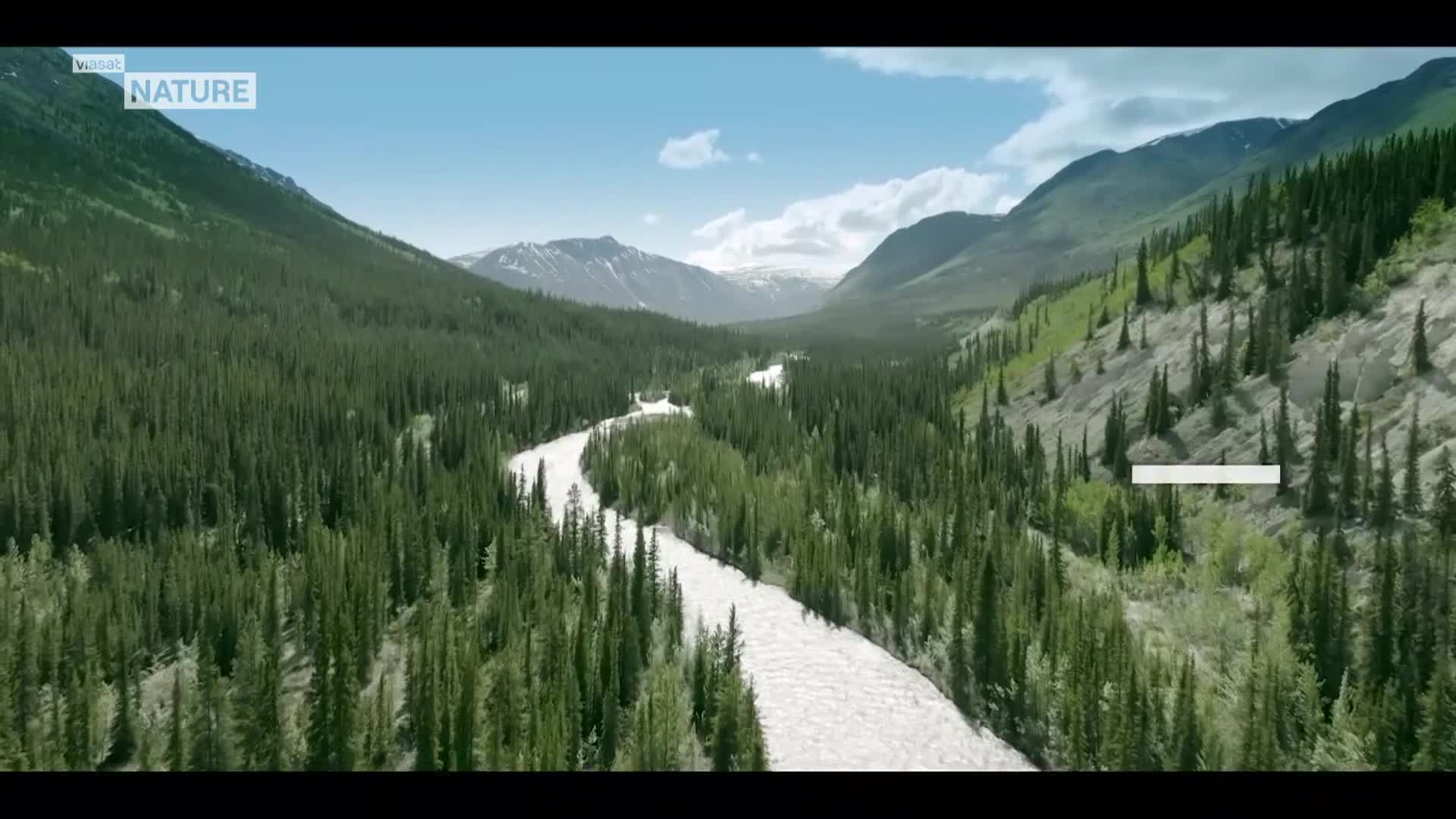ViasatNature
