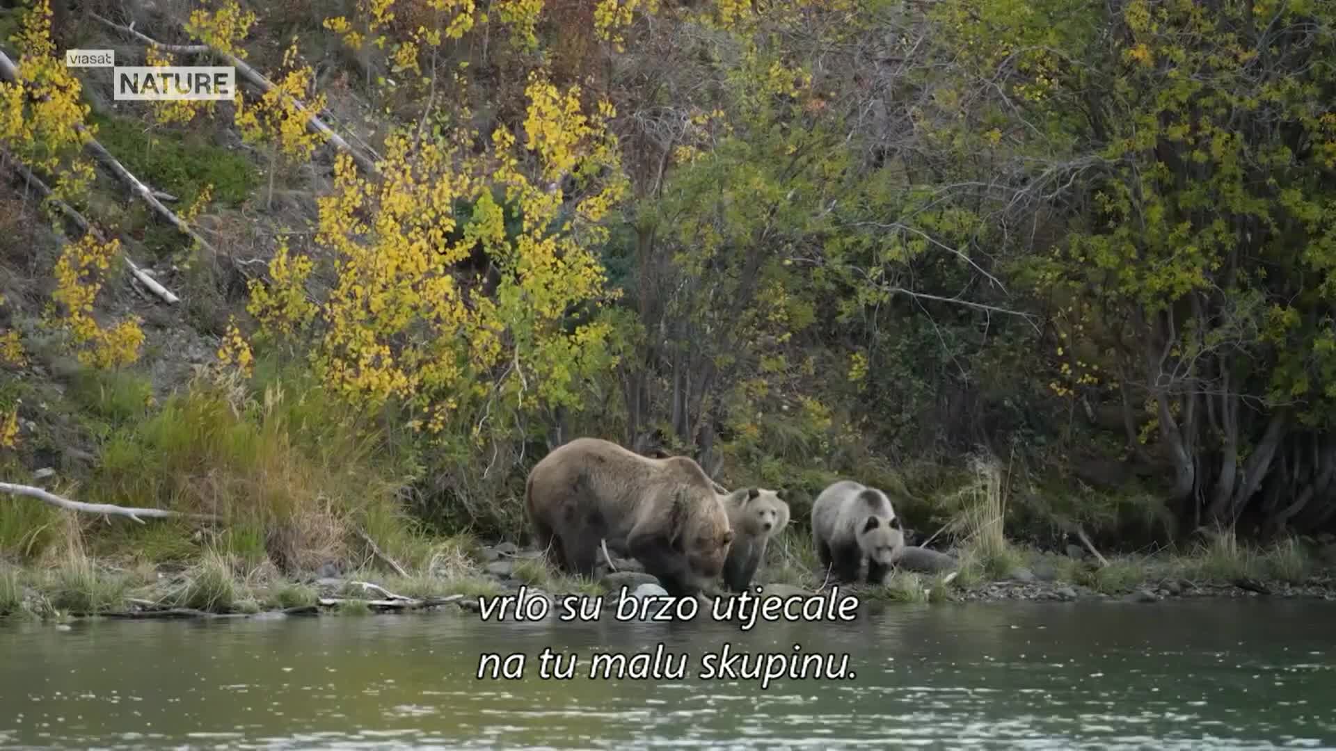 ViasatNature