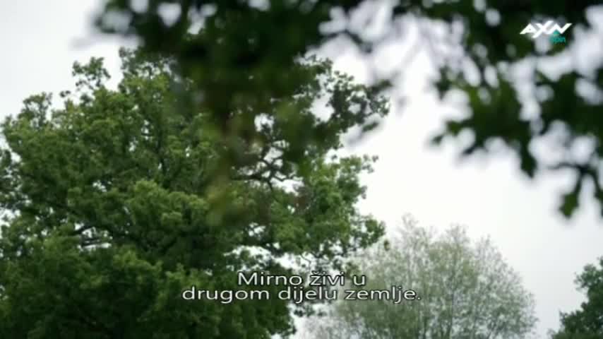 AXNSpin