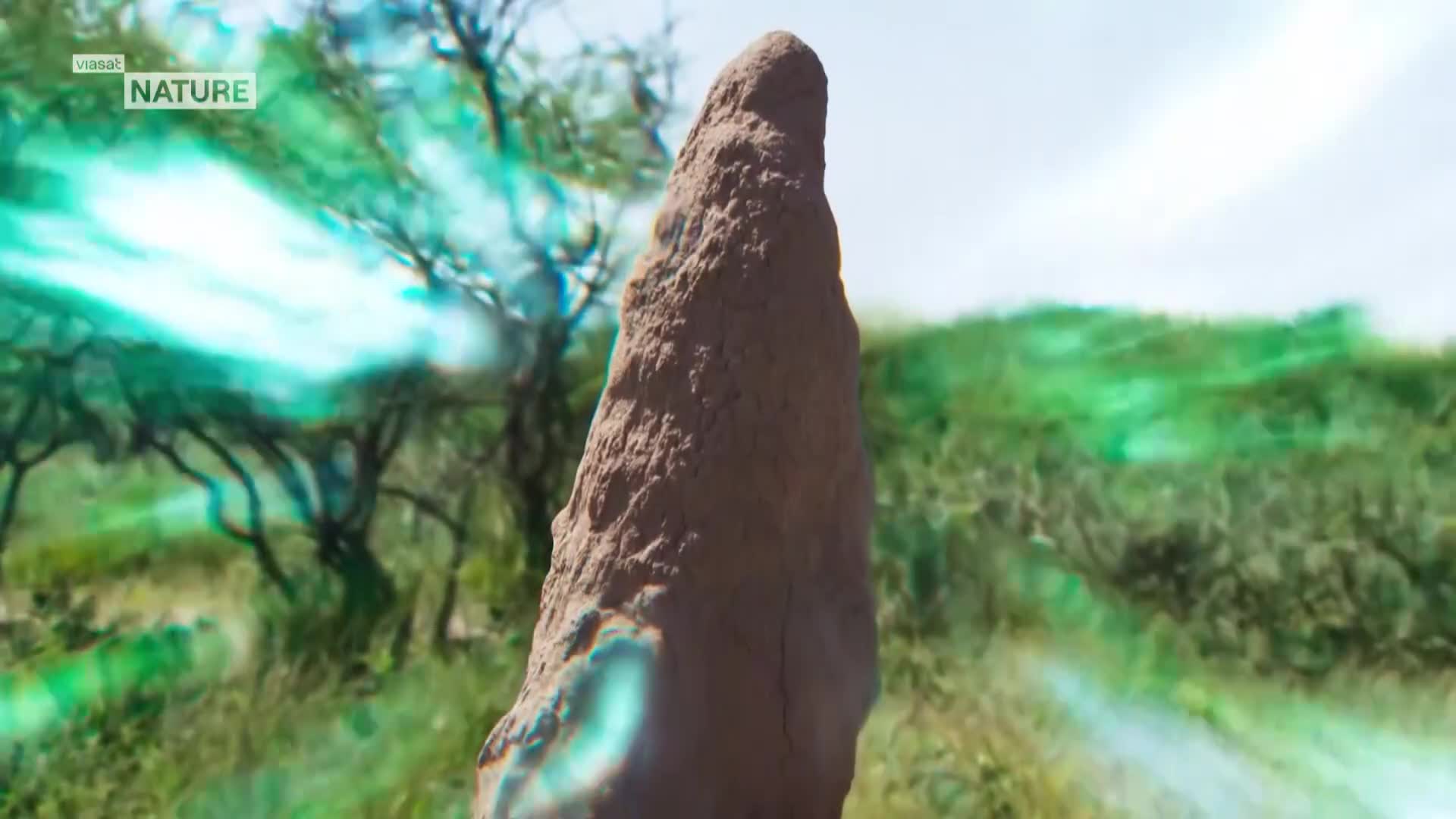 ViasatNature