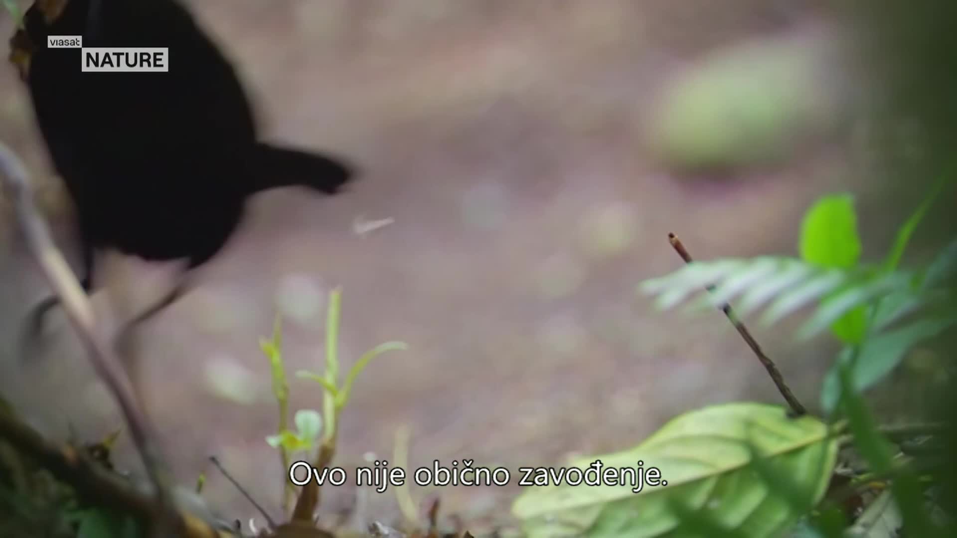 ViasatNature
