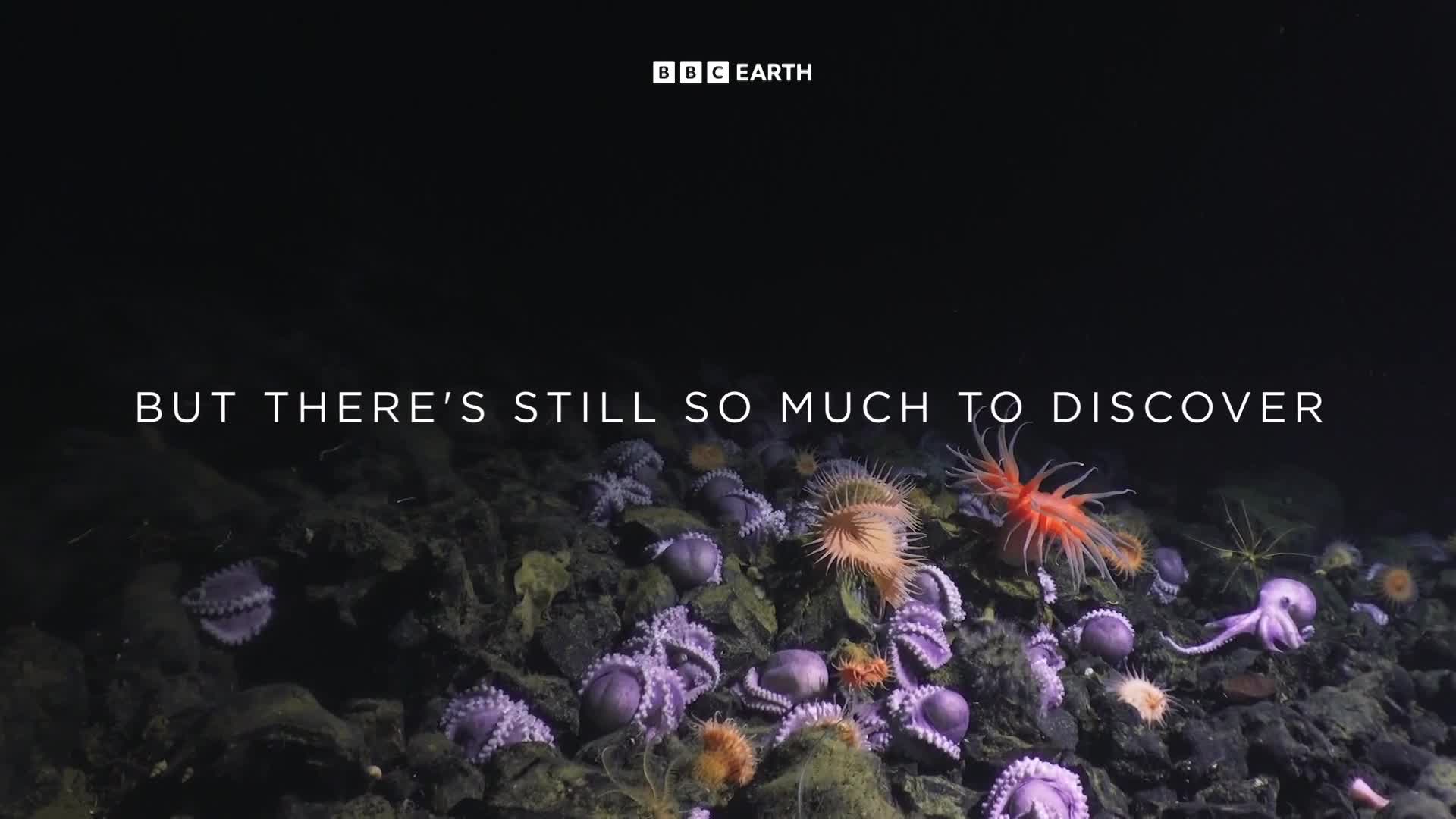 BBCEarth
