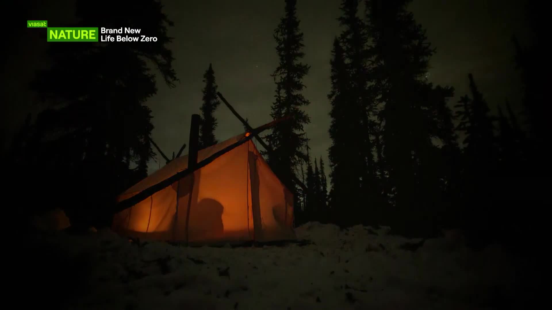 ViasatNature