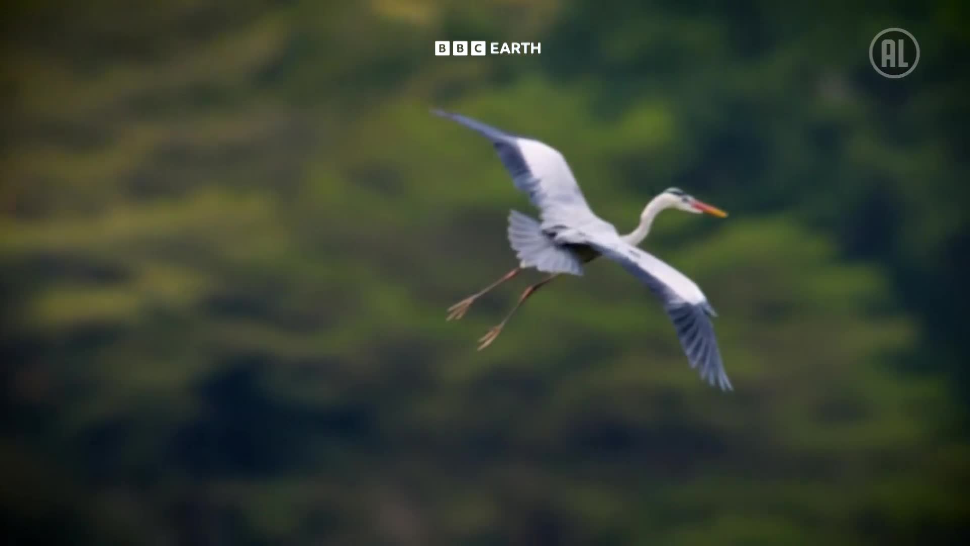 BBCEarth