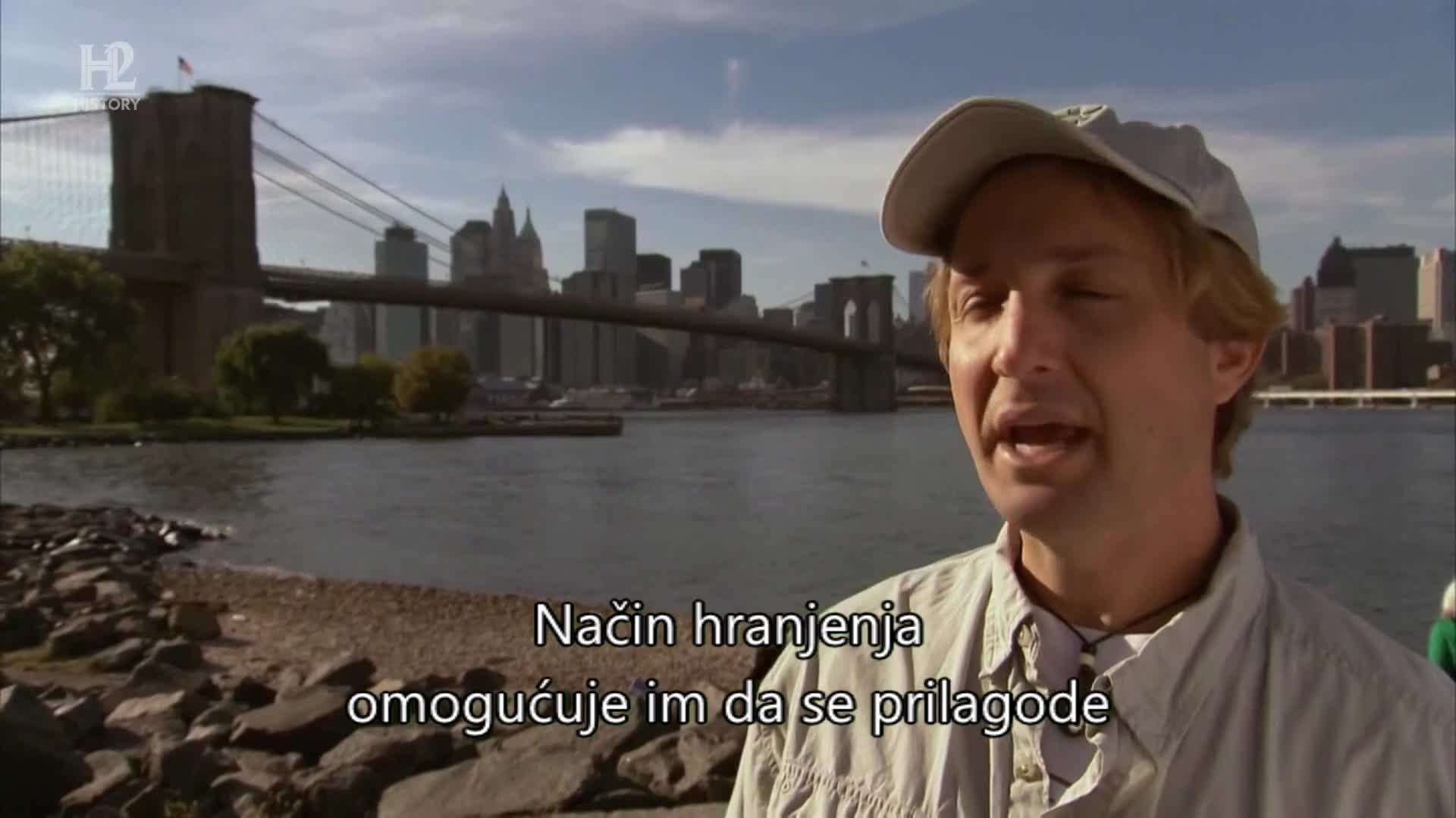 History2