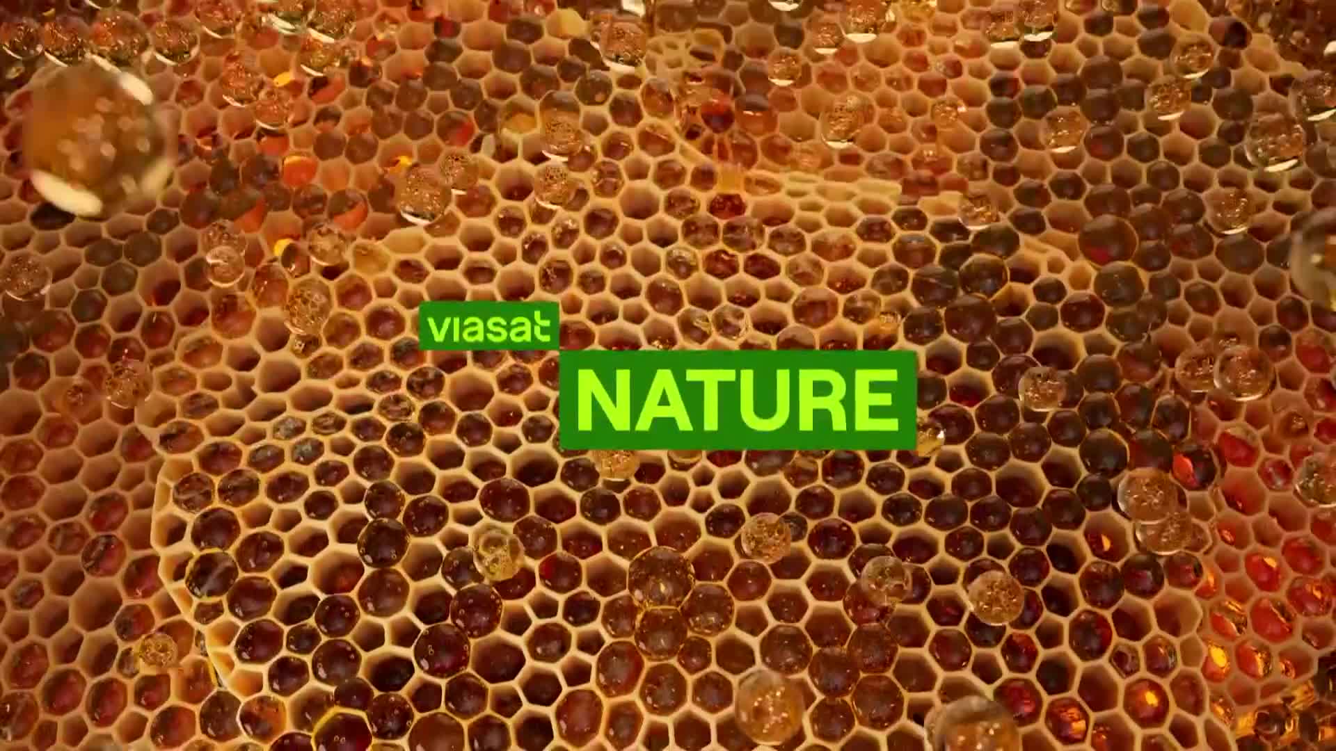 ViasatNature
