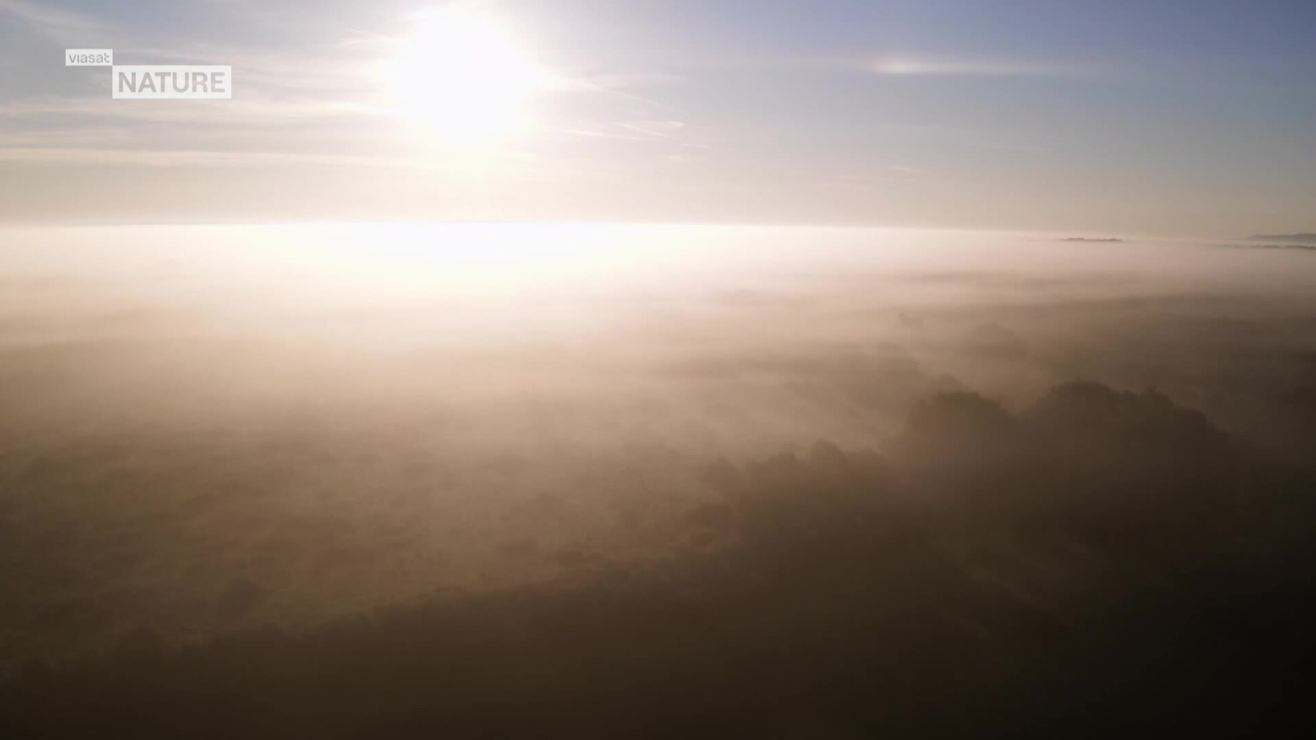 ViasatNature
