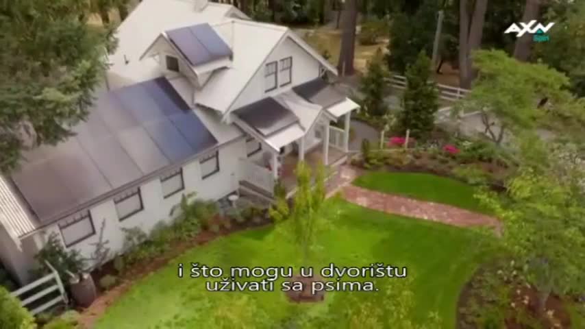AXNSpin