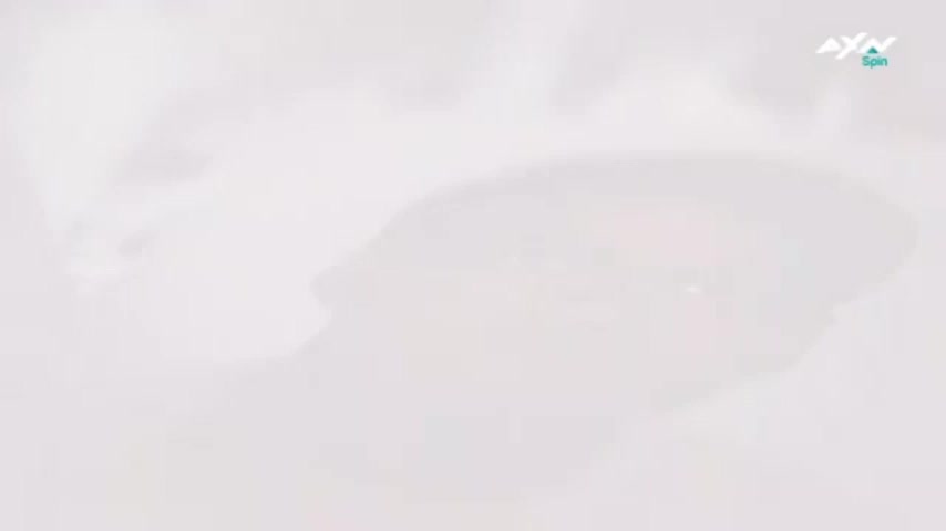 AXNSpin