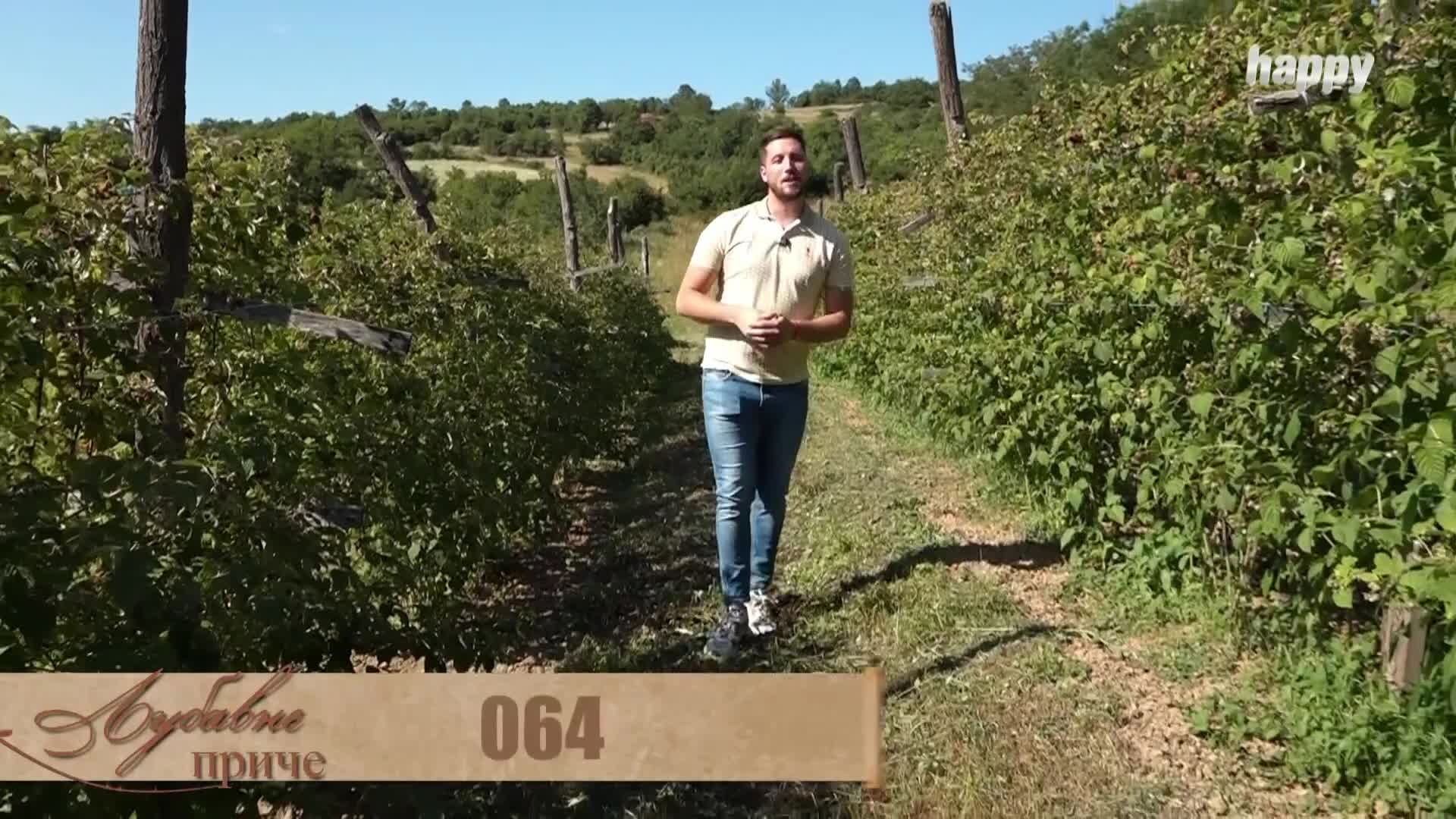 HappyTV