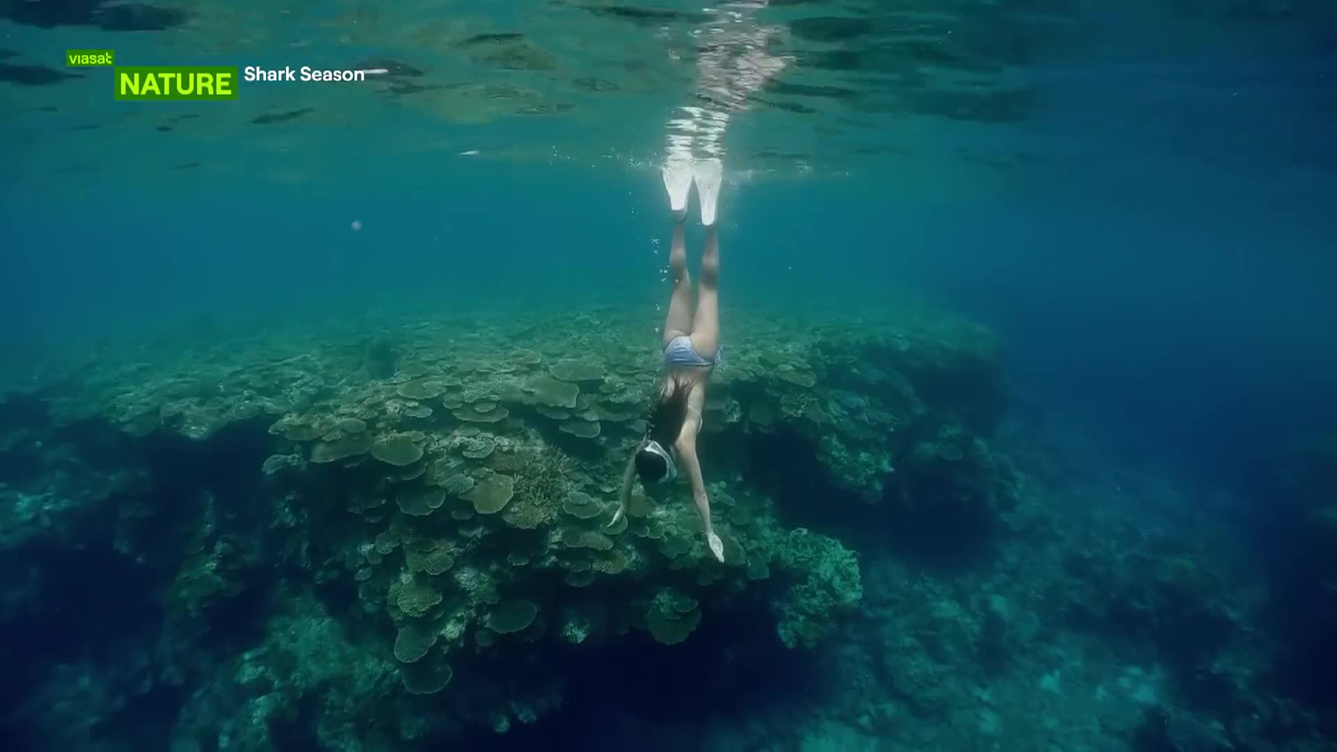 ViasatNature