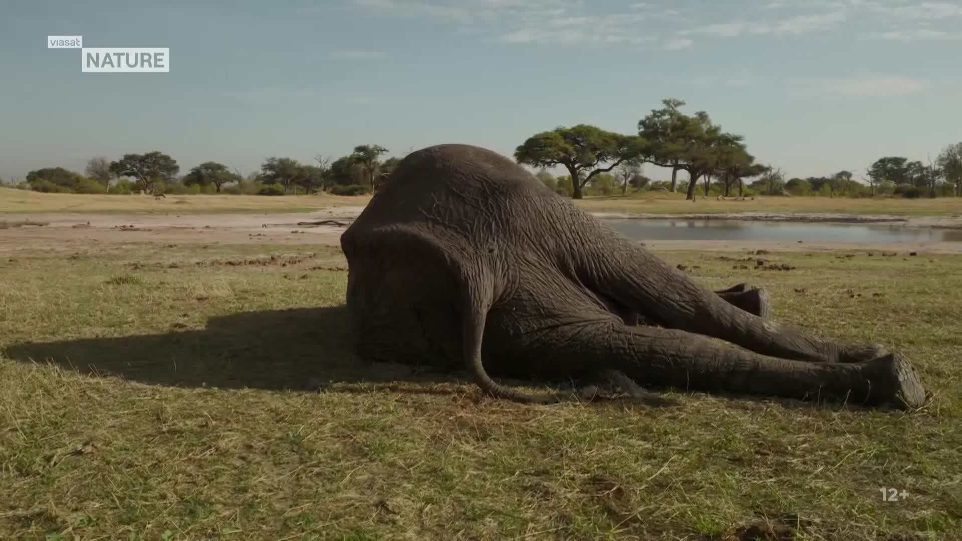 ViasatNature