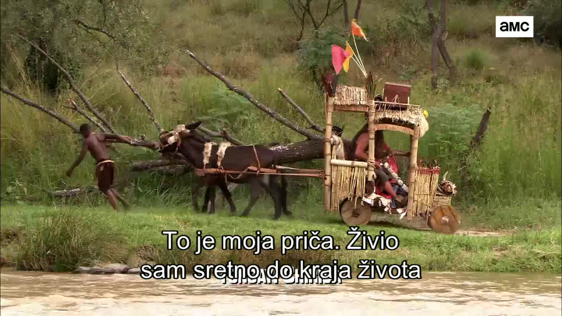 AMCHD