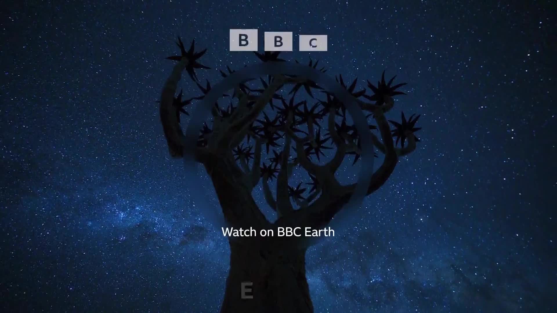 BBCEarth