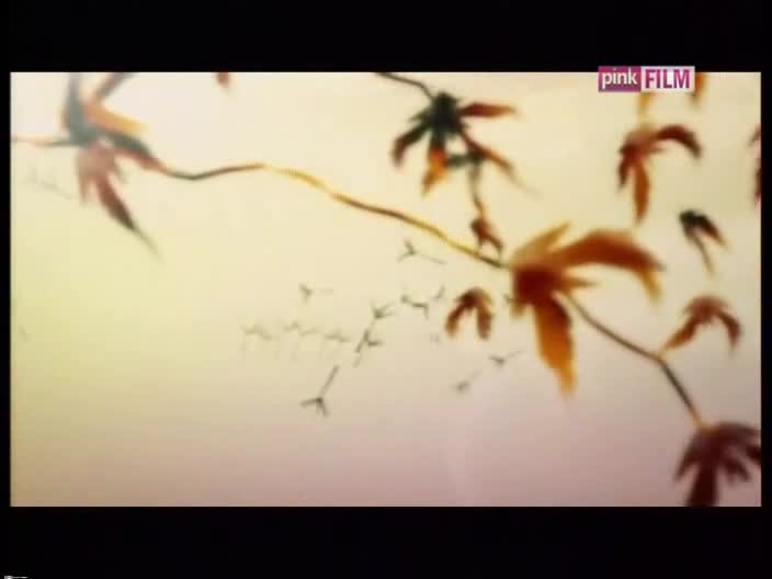 PinkFilm