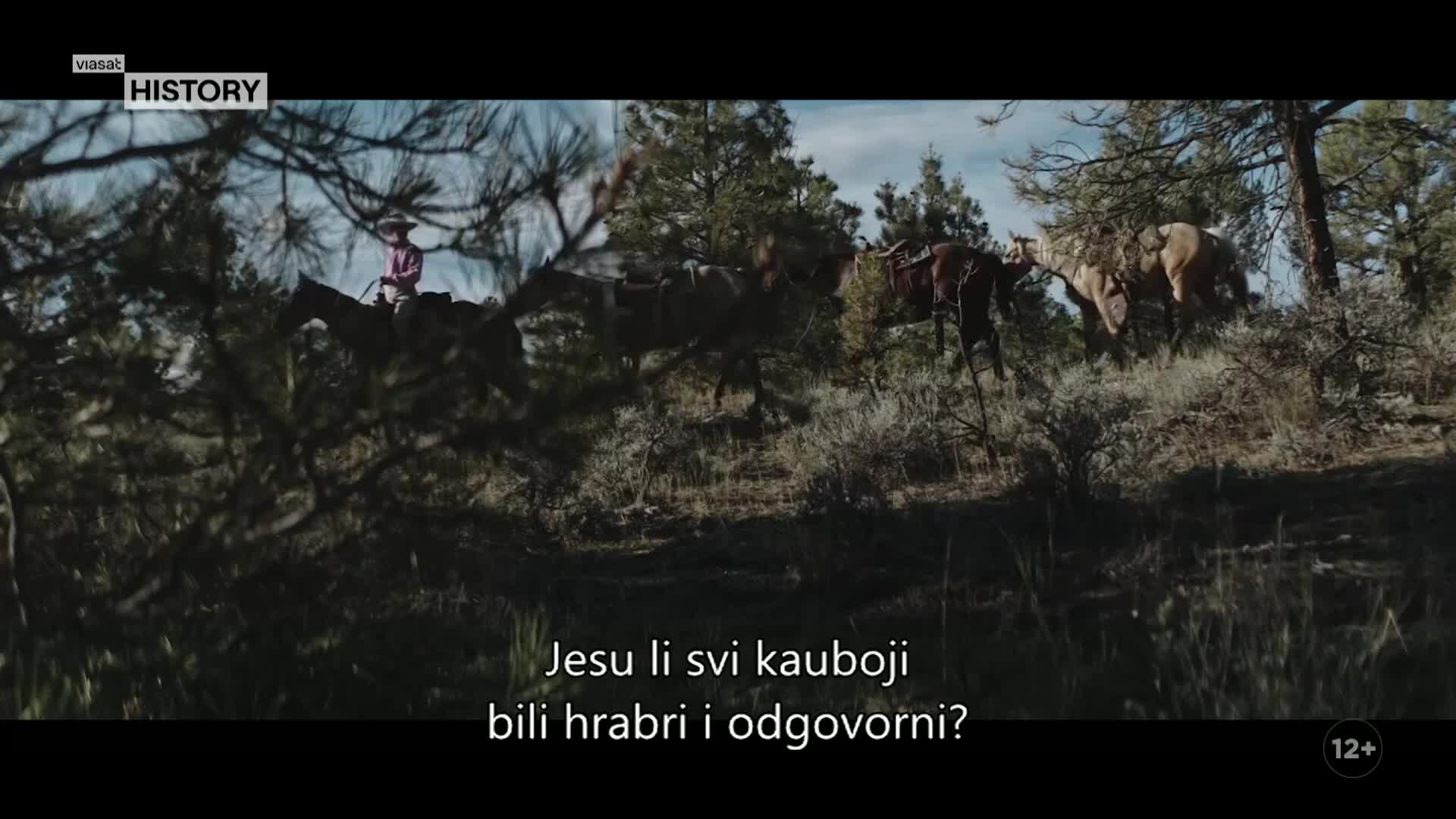 ViasatHistory