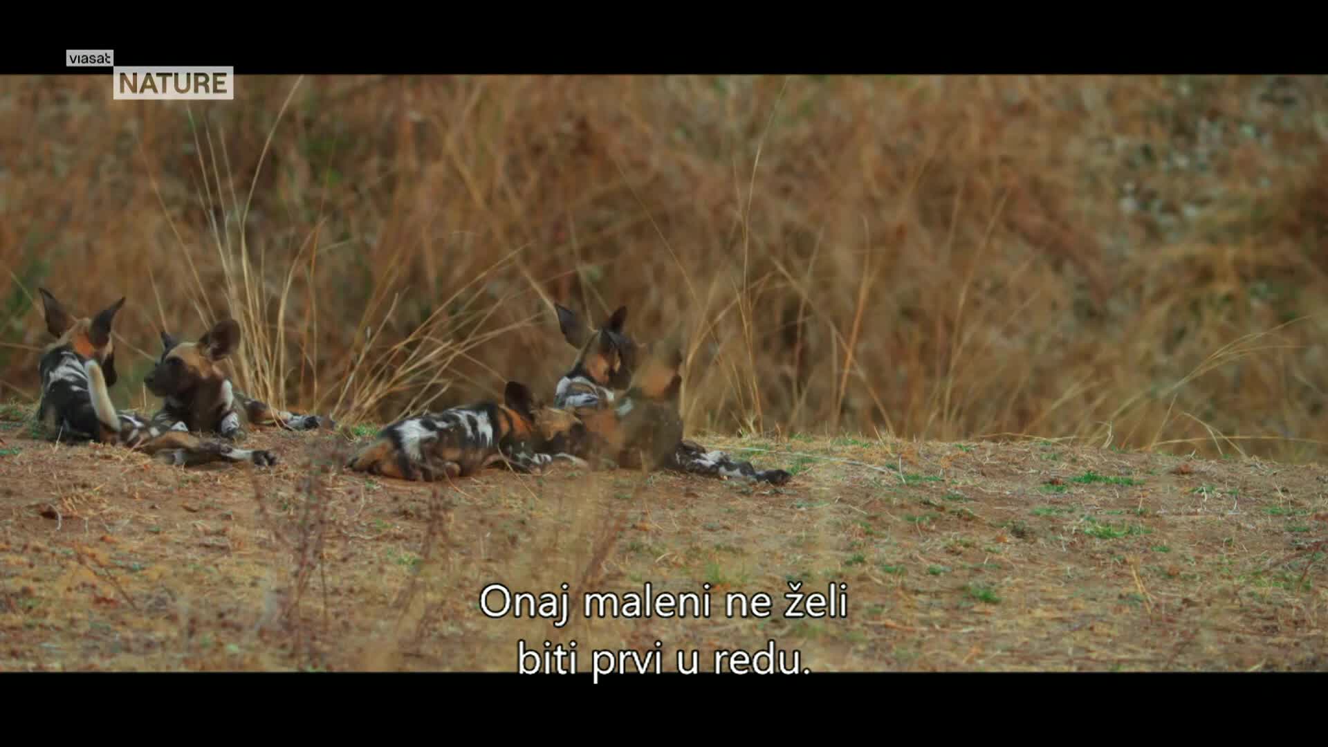 ViasatNature