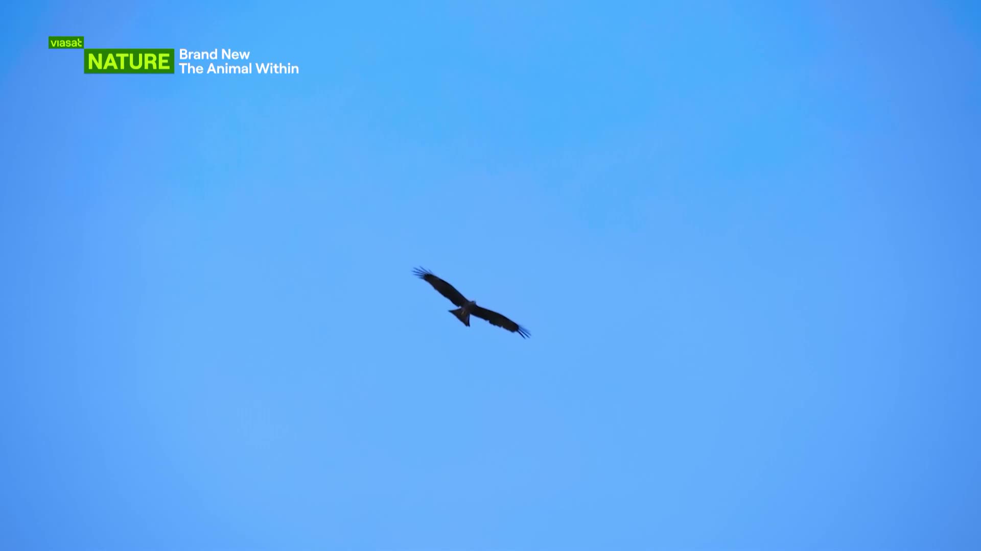 ViasatNature