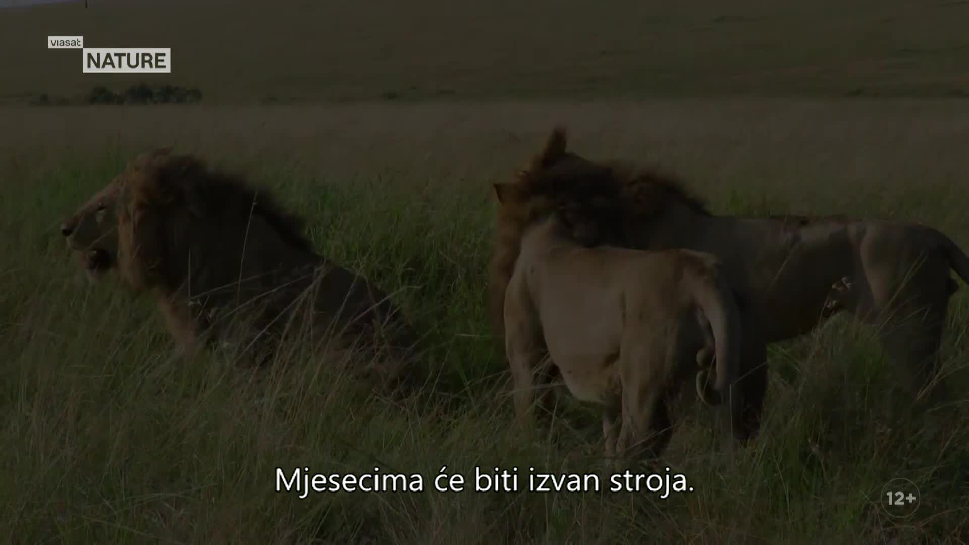 ViasatNature