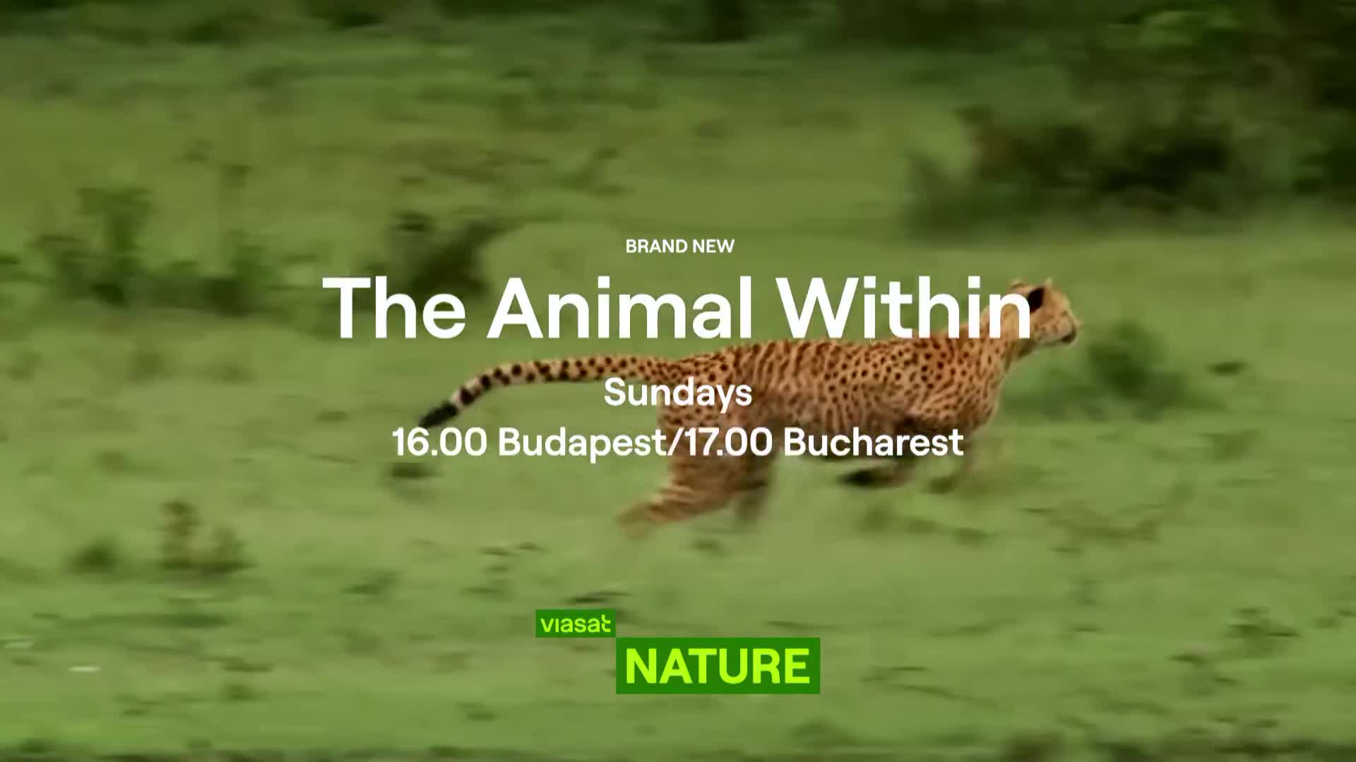 ViasatNature