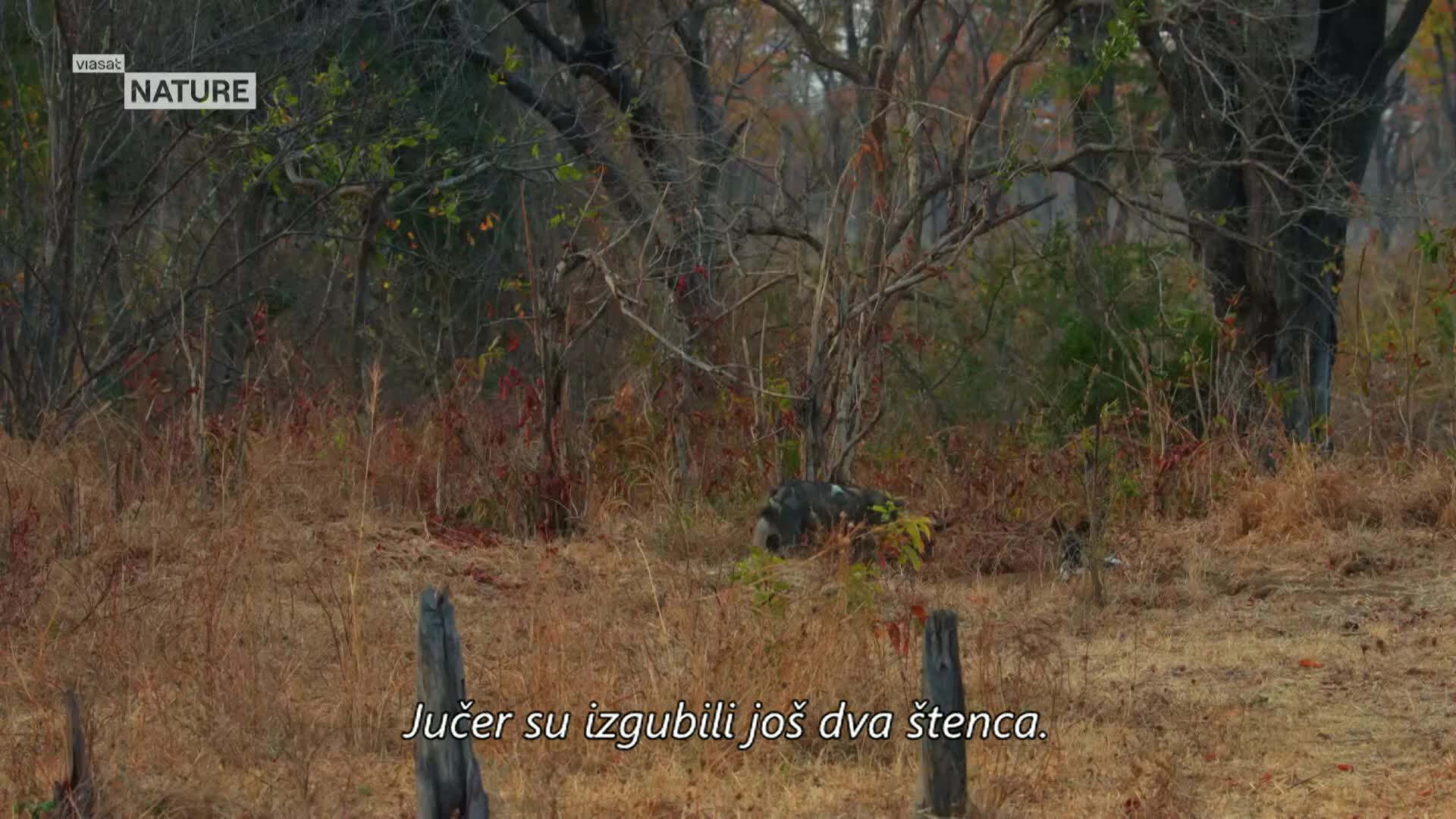 ViasatNature