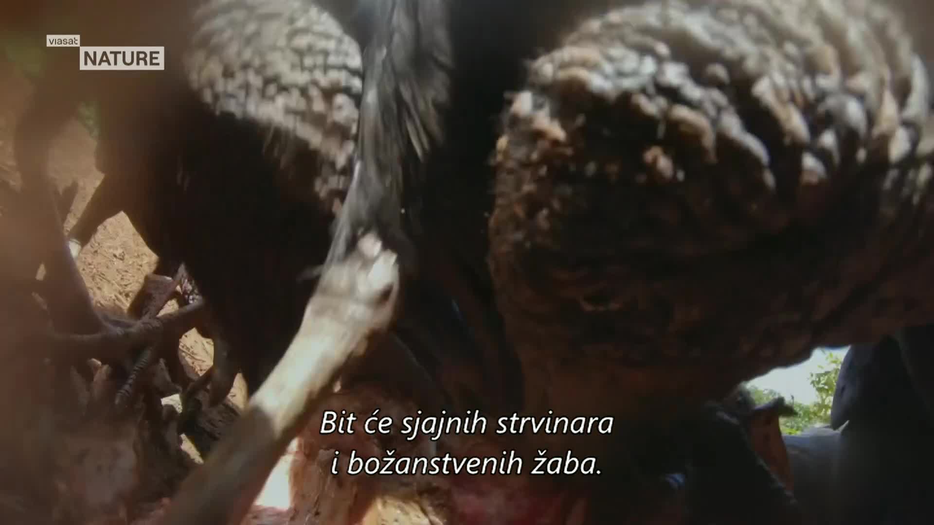 ViasatNature
