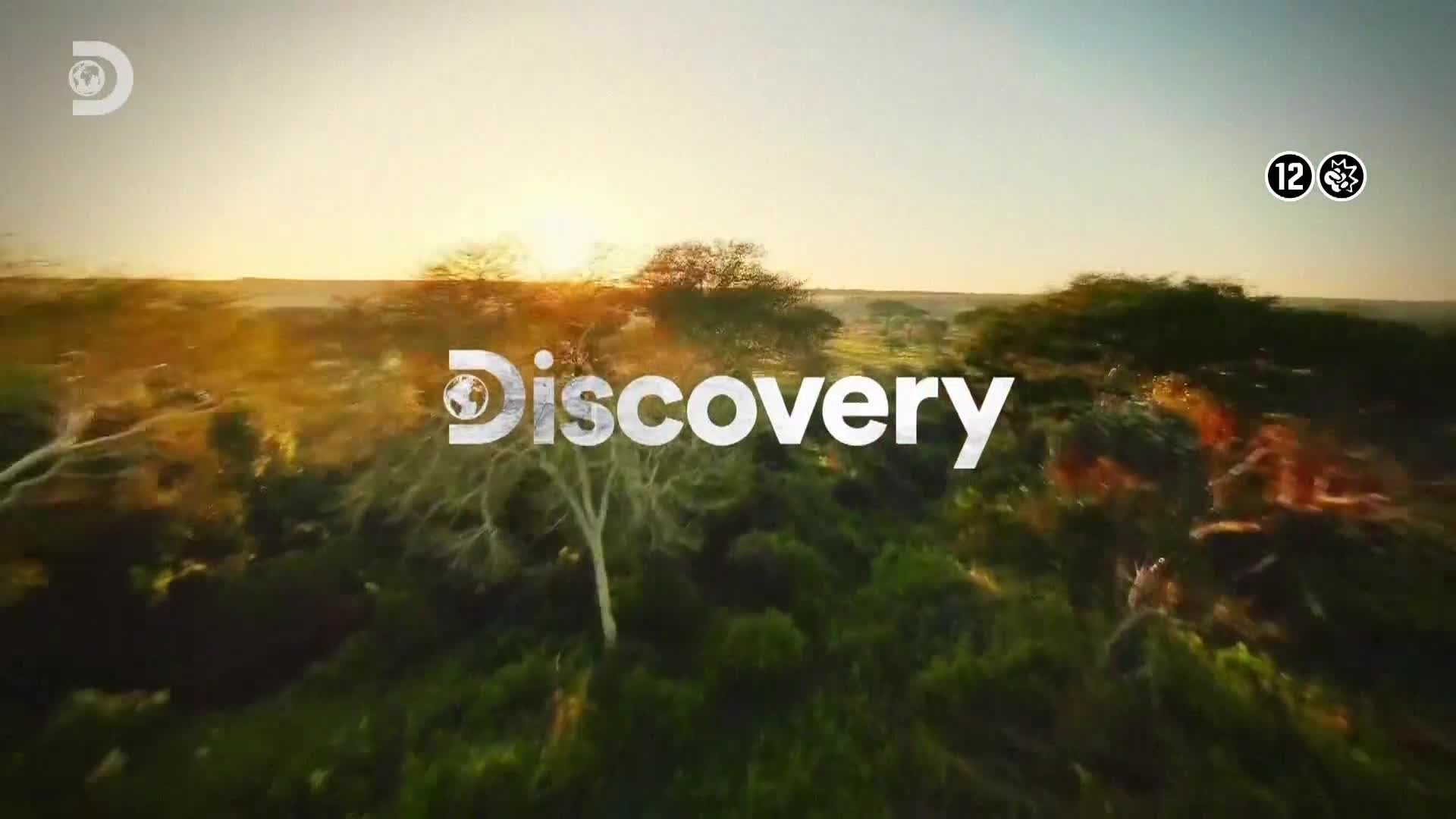 ViasatExplorer