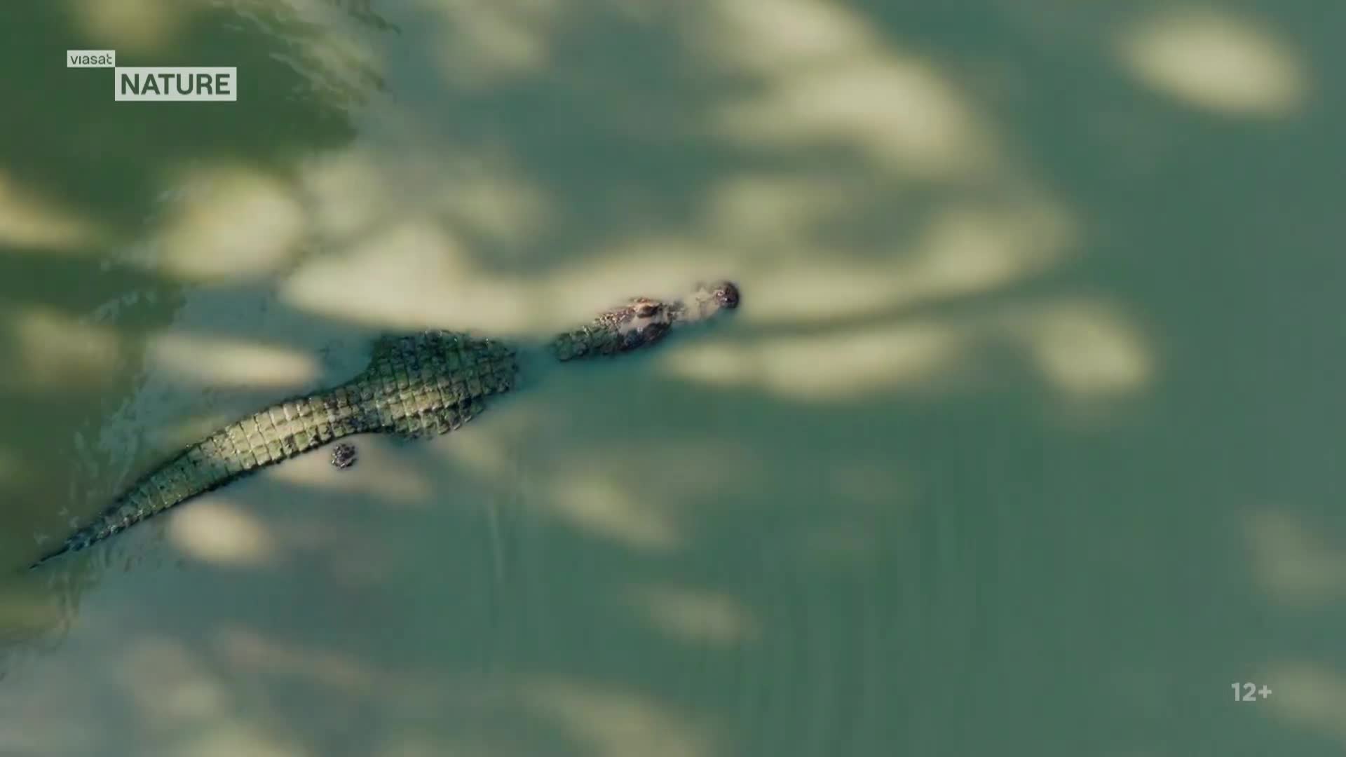 ViasatNature