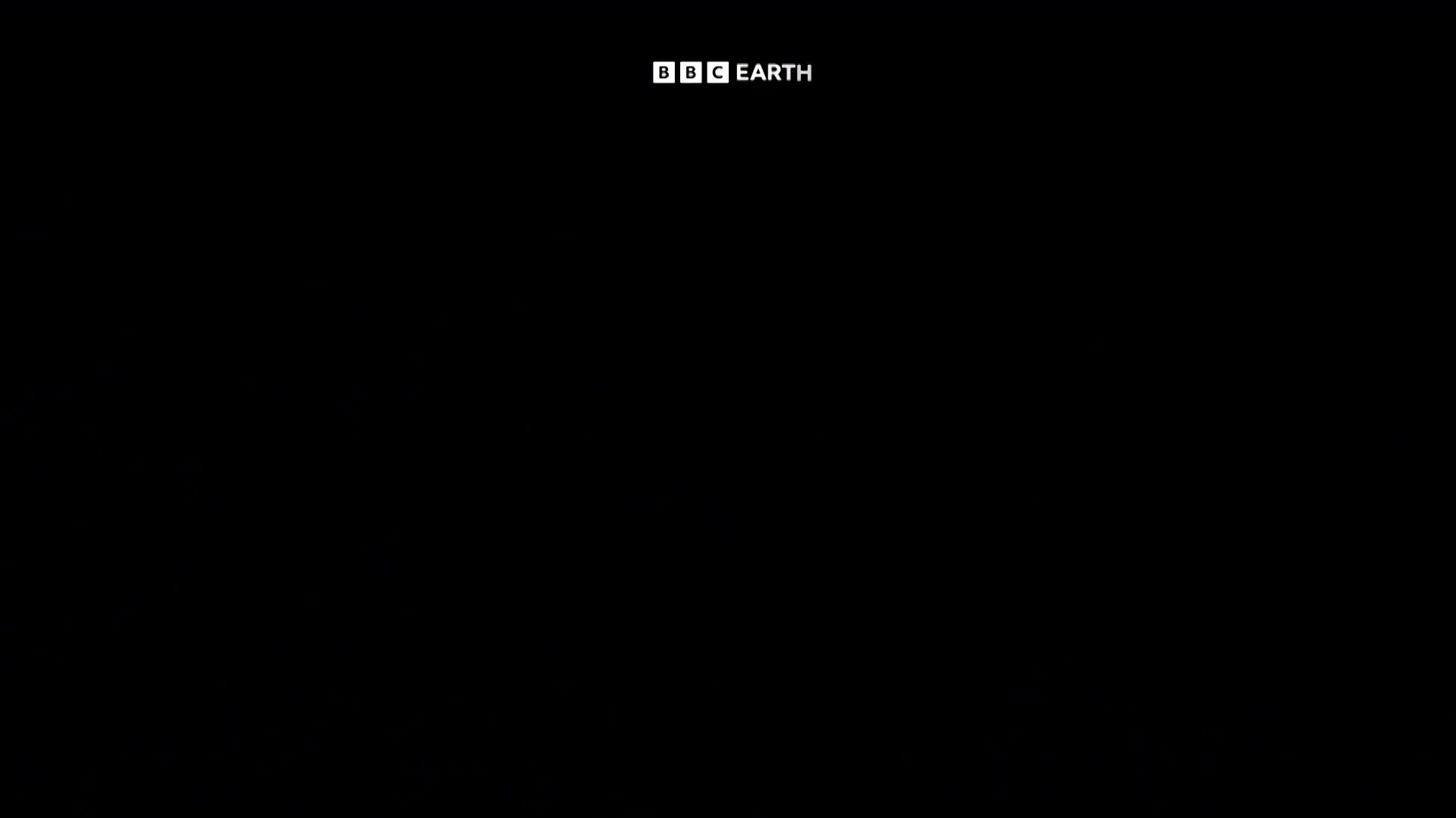 BBCEarth