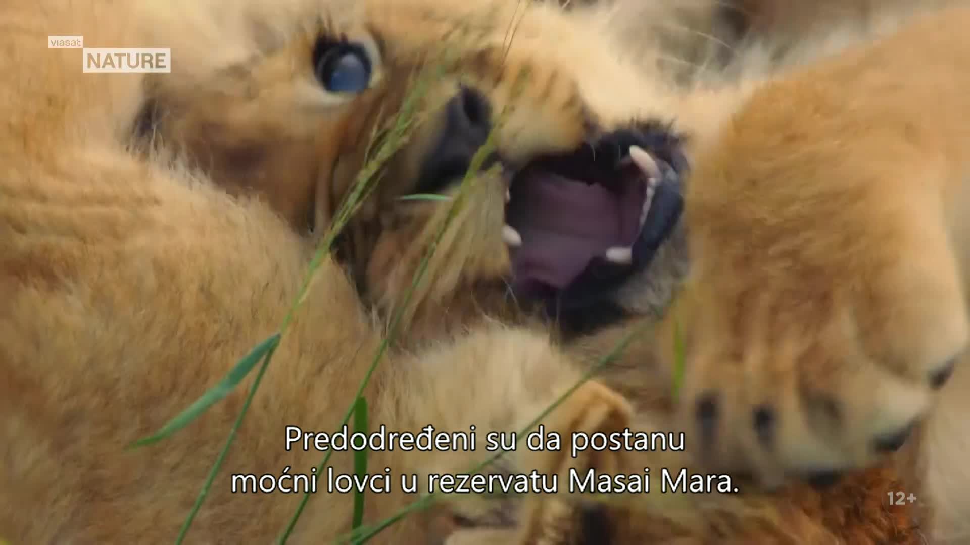 ViasatNature