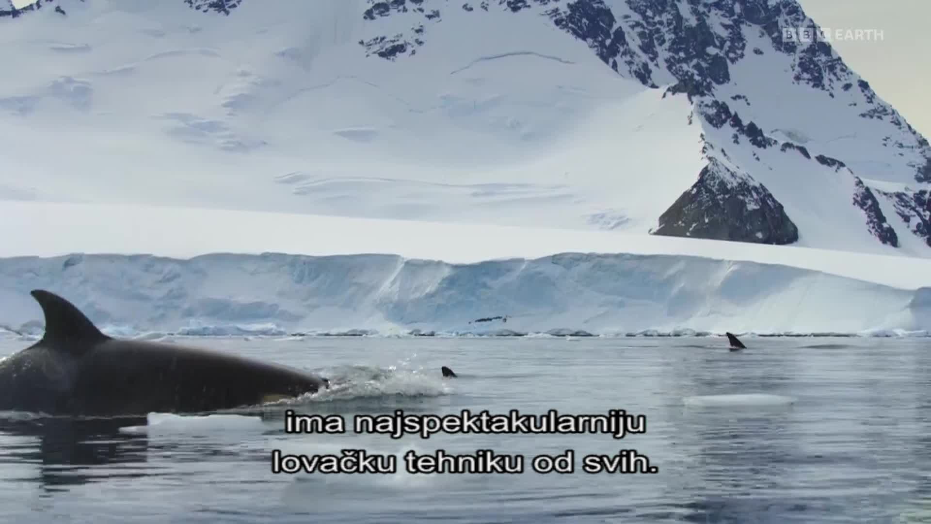 BBCEarth