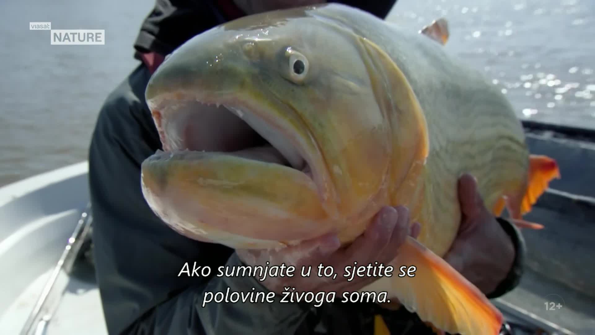 ViasatNature