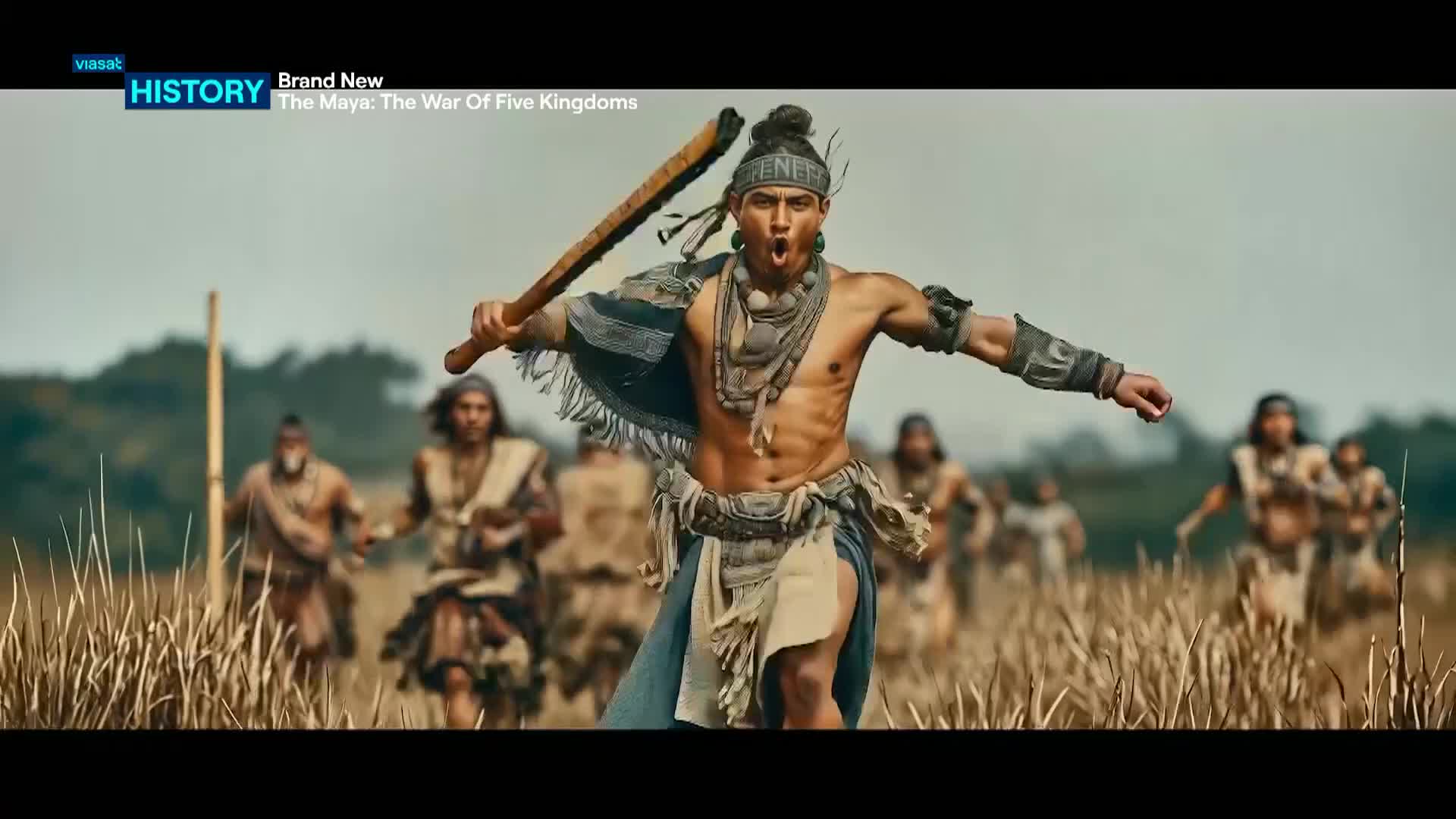 ViasatHistory