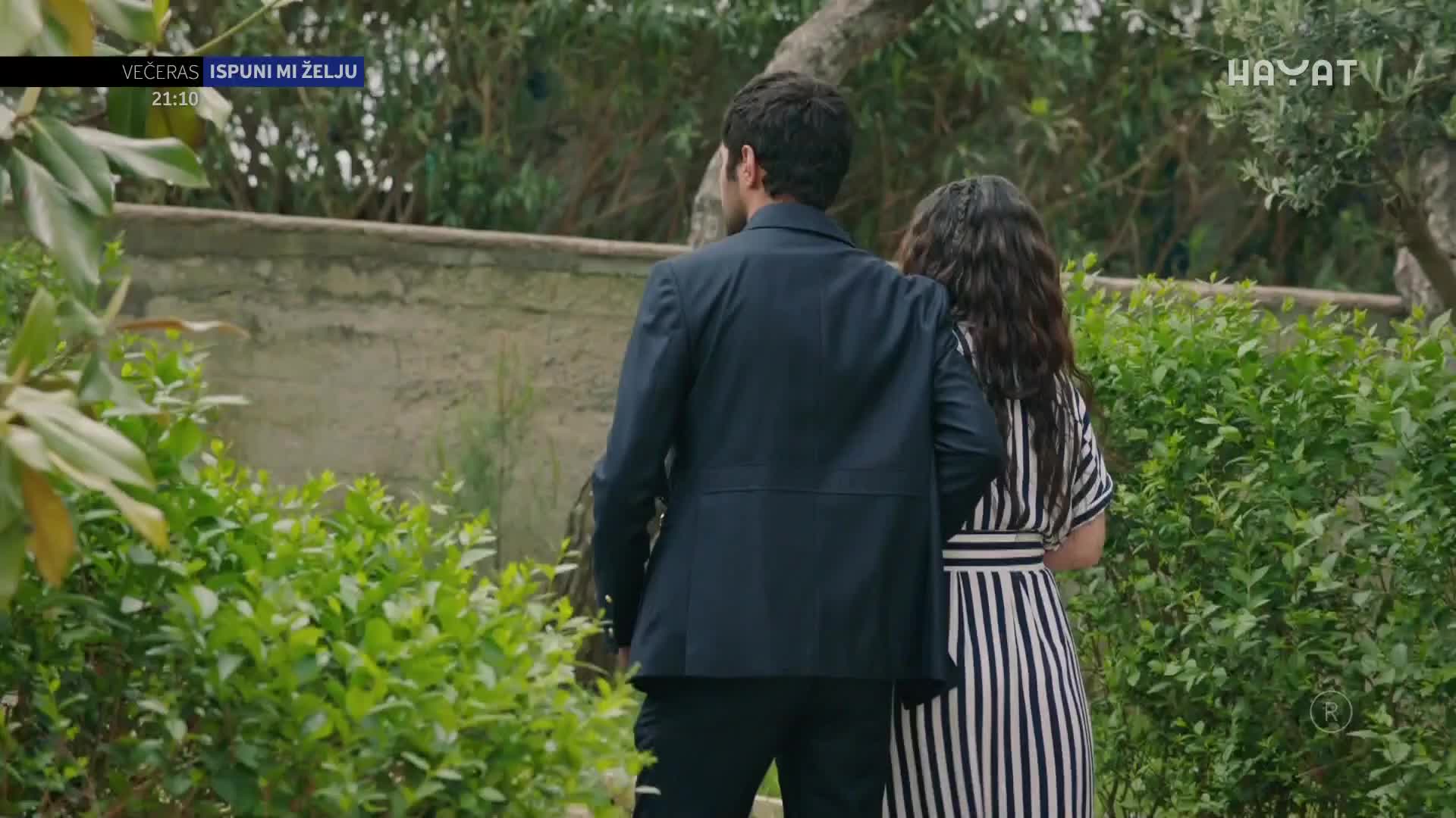 hayat